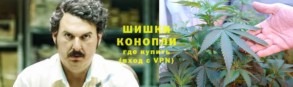ECSTASY Нея