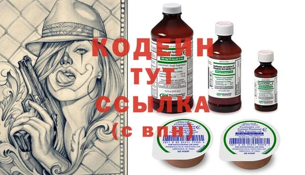 сатива Новодвинск