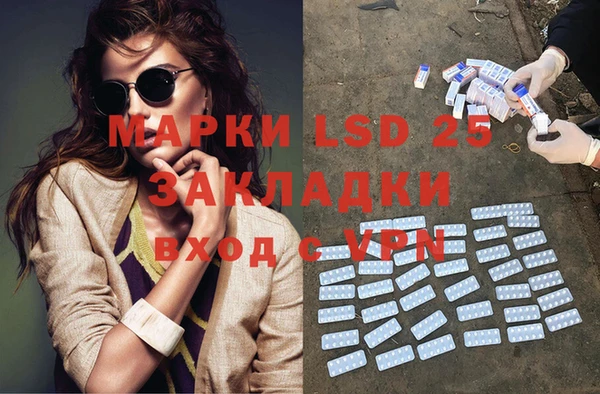 сатива Новодвинск