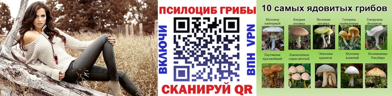 где купить Углегорск Псилоцибиновые грибы мицелий
